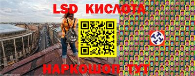 гидропоника Будённовск