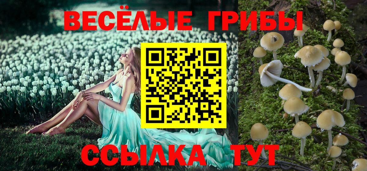 Псилоцибиновые грибы Psilocybine cubensis  Галлюциногенные грибы мицелий  Вход с VPN  Лосино-Петровский 